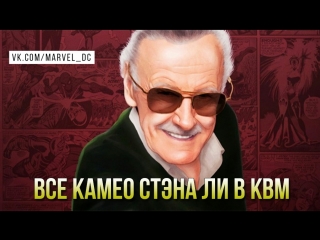 all stan lee cameos in the mcu (2008-2018)