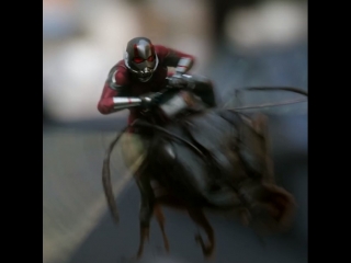 ant-man and the wasp