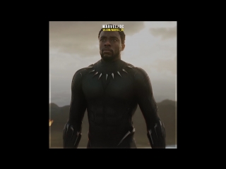 black panther small tits big ass